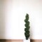 5ft Spiral Cedar Topiary Tree in Black Pot by Floral Home®